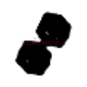 ŚRUBA M6 (219499) Numatic