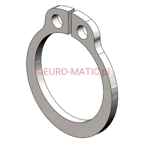 PIERŚCIEŃ SEGERA (219345) Numatic