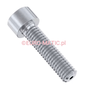 ŚRUBA M6x60mm (219748) Numatic