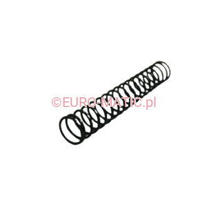 SPRĘŻYNA DO ŚRUBY ZAMYKAJĄCEJ W WVD Numatic 219418