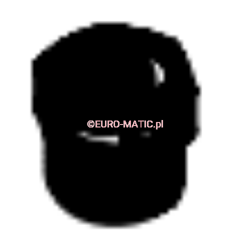 PIN BLOKUJĄCY WLOT POWIETRZA DO NTT Numatic 206169