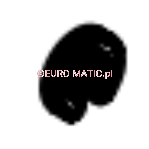 PLASTIKOWY PIERŚCIEŃ MOCUJĄCY ZBIORNIK BRUDNEJ WODY W TTV678 Numatic 208072