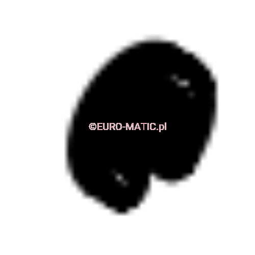 PLASTIKOWY PIERŚCIEŃ MOCUJĄCY ZBIORNIK BRUDNEJ WODY W TTV678 Numatic 208072
